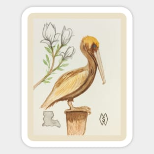 Louisiana state bird & flower, the pelican and magnolia Sticker